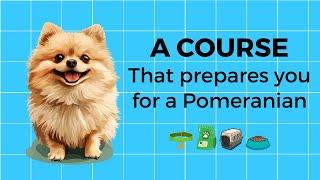 World's Shortest Course On Pomeranians