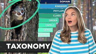 Taxonomy | Classification of Living Organisms