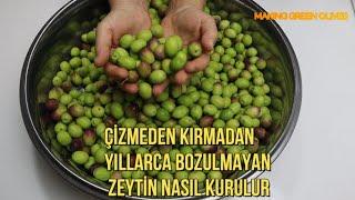 Çizme Derdi YOK‼️ Kırma Derdi YOK‼️Yıllarca Kalsa Bozulmayan Yeşil Zeytin Kurumu.Nasıl Yapılır