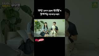 10만 강아지 유튜버 '푸우형'이 강아지를 입양하게된 이유가 있다!?