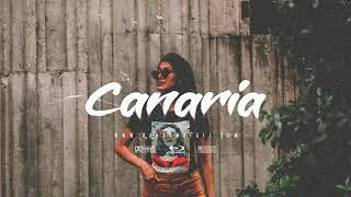 [FREE] Burna boy x Afrobeat Type Beat 2020- Canaria