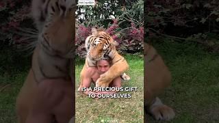 When Animals Love You ️ #shorts #animals #pets