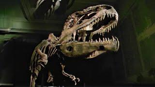 Unearthing the Killer Elite: Predators Beyond T-Rex | Dinosaurs Inside & Out