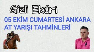 05 EKİM 2024 CUMARTESİ ANKARA AT YARIŞI TAHMİNLERİ GİZLİ EKÜRİ KANALİMİZDA