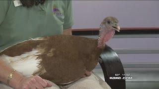 Spring Break at the Sedgwick Co. Zoo