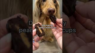 Dog-friendly peanut butter cups recipe! Sweet treat for your dog #dogtreatrecipe #dachshund #dog