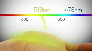 Pharmanex S3 bioPhotonic Scanner Introduction Dr. Joe Chang Ph.D