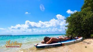 Underwater Swimming In The Sea Island Adventure #BocaChitaKey #swimming  #underwater #marinelife