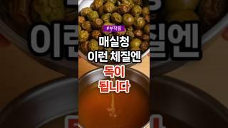 매실청 이런 체질엔 독이 됩니다 #건강 #건강정보 #건강상식