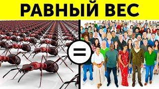 65 быстрых фактов, которые сделают вас самым интересным человеком на вечеринке