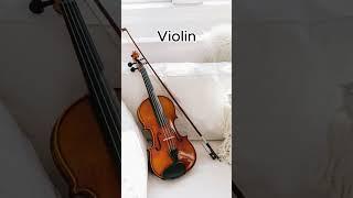 Top 5 best musical instruments in the world#foryou #fypシ゚viral #viralshorts2024 #worldtop5