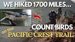 PCT Megatransect: An 18-Year Journey of Discovery and Research #birds #pct #pct2024 #backpacking