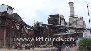 Flood causes inconvenience to sugar factory workers in Gopalganj, Bihar