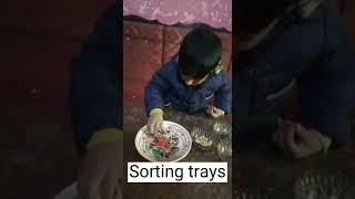 Sorting Tray: Stereognostic Sense Activity