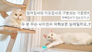 공식적으론 처음 밝히는! 우리는 무슨 사이? 엄마는 누구???