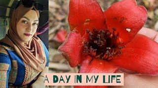 A Simple Day In My Life | Bangladesh Village Life  | Planted The Trees I Got From London