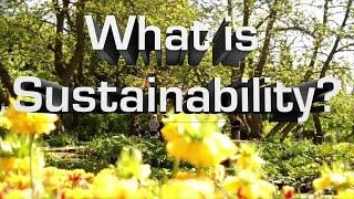 What Is Sustainability?