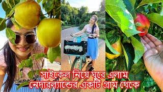 নেদারল্যান্ডের গ্রাম রাস্তারধারে কত আপেল গাছVillage tour by cycle।Netherlands Roadside apple picking