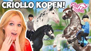 Ik koop de nieuwe CRIOLLO PAARDEN op STAR STABLE!  *Update*