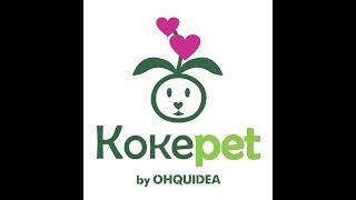 Kokepet - A kokedama promovida a Pet vegetal!