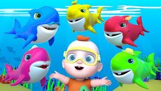 Baby Shark Animals Songs and More Nursery Rhymes and more Toddler Songs