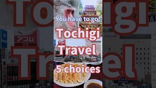 Japan Tochigi Prefecture Travel 5 , Sightseeing in Tochigi #shorts