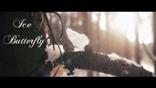 Ice Butterfly + Breakdown    #cgi #vfx #3d #blender #fusion #aftereffects