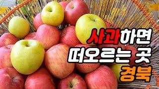 셀카인터뷰 - 경북 착한사과 페스티벌