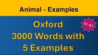 Animal - Examples