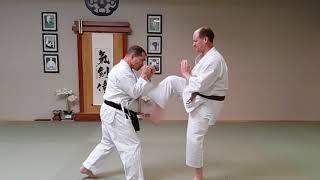 Karate Training Drills - Suino Sensei & A. Hauptman | Japanese Martial Arts Center