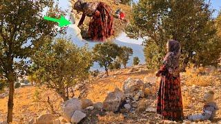 A child on the mother's shoulder: Zahra and Sofera are working hard to sell oaks.