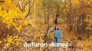  saying yes to a spontaneous adventure lead to this . . .  AUTUMN diaries