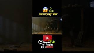 लालच एक बुरी बाला।Hindi/Urdu #shorts #movieexplain #Filmizulfi