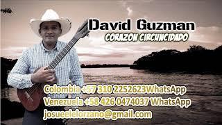 CORAZÓN CIRCUNCIDADO - David Guzmán 2019 (Audio Oficial)