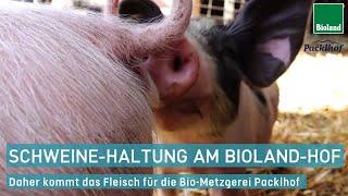 Schweinehaltung am Biohof: Besuch auf dem Bioland-Hof Mayer