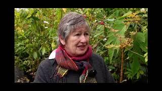BBC Wales Today 20/05/2024