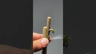 #Fruit tree grafting technology# sharing, just align the cambium, and leave the rest to time#