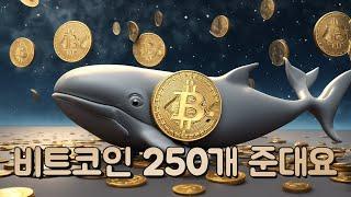 비트코인 250개 에어드랍 받아요