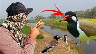 amazing birds hunting | with slingshot!