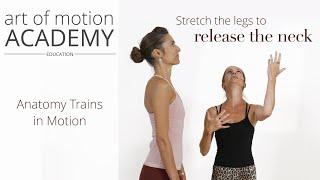 Stretch the Legs to Release the Neck | Anatomy Trains in Motion