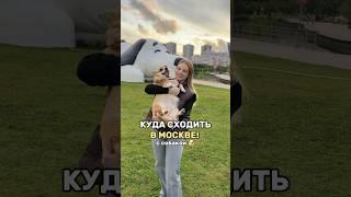 КУДА СХОДИТЬ В МОСКВЕ?  WB: 418211844- спрей #кудасходить #москва #собачники #места #парк