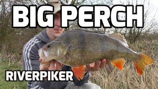 Perch light lure fishing - Big perch