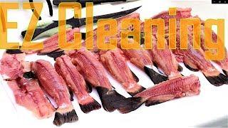 How to EZ Clean Catfish (Bullhead) the Old School Way