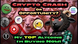 Crypto Crash or Opportunity? Top Altcoins I’m Buying Now!