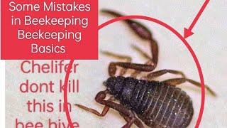 Beekeeping mistakes/New beekeepers basics #beekeeping #apiscerana @Kashmiribeekeeper