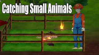 Mad Island Guide (capturing small animals)