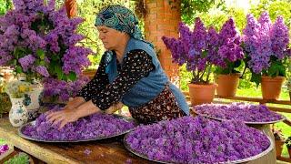 Fresh Spring Lilacs Picking: How to Preserve the Scent of Spring 