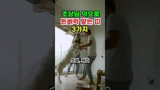 조상님 덕으로 돈벼락 맞는 띠  3가지 #띠별운세 #재물운