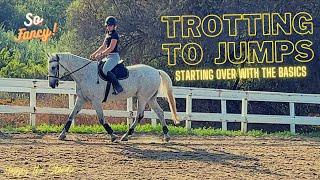 Trotting to Jumps // Starting over with the Basics // Happy the Standie