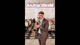 Andrei David - Cum dorește cerbul apa vie - COVER 2021